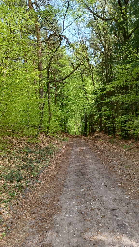03.05.2026 Frühjahrswanderung